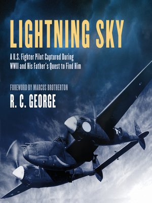 cover image of Lightning Sky